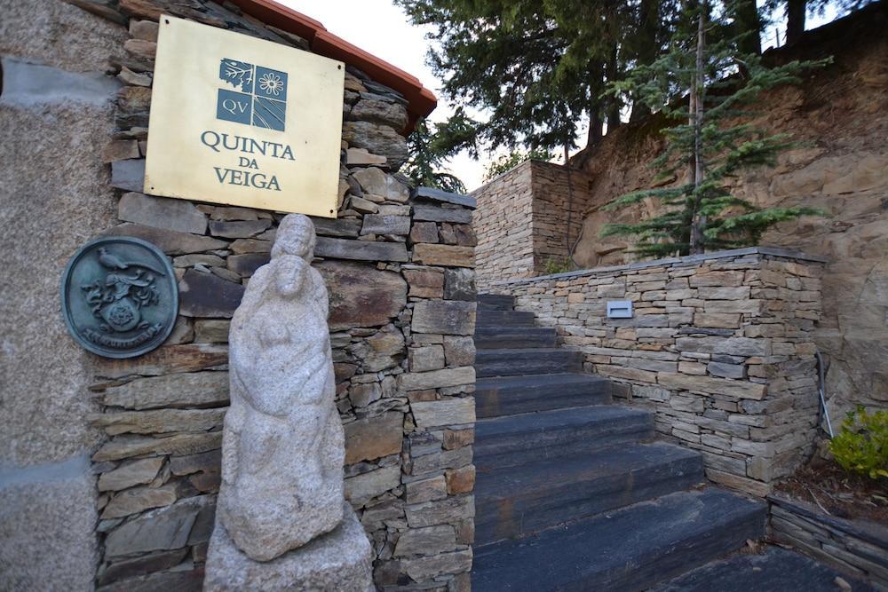 Bed and Breakfast Quinta Da Veiga Covas do Douro Zewnętrze zdjęcie