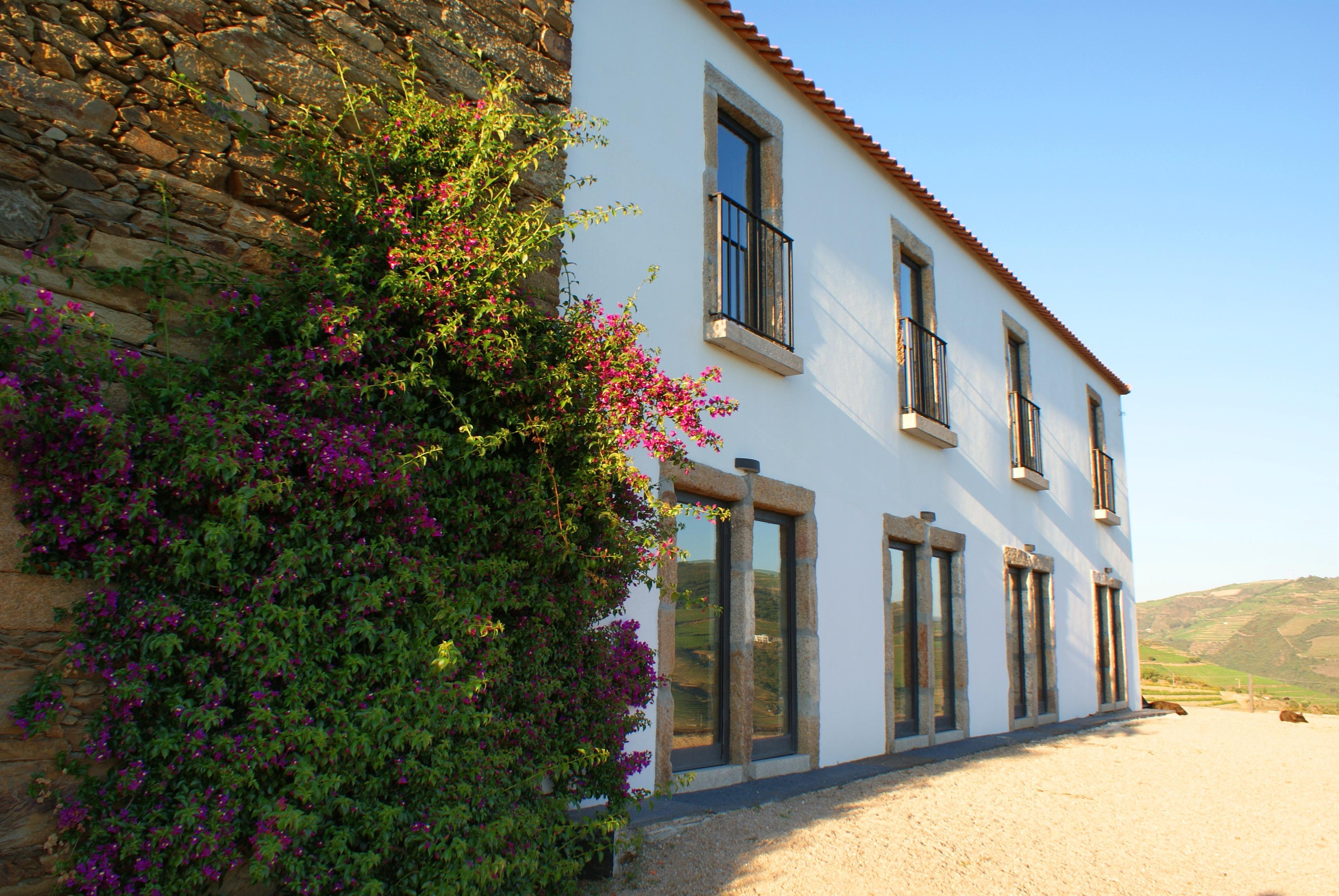 Bed and Breakfast Quinta Da Veiga Covas do Douro Zewnętrze zdjęcie