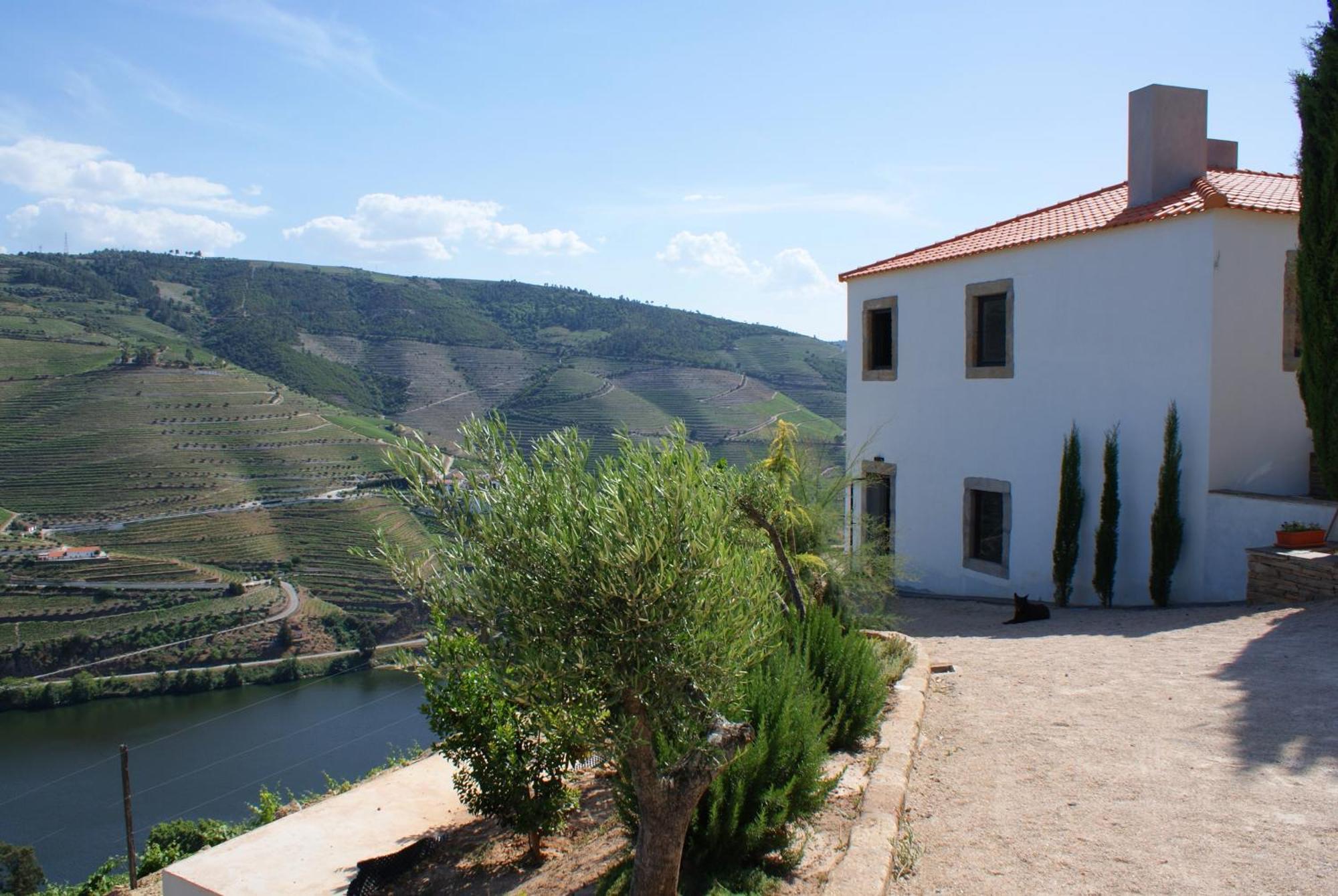Bed and Breakfast Quinta Da Veiga Covas do Douro Zewnętrze zdjęcie
