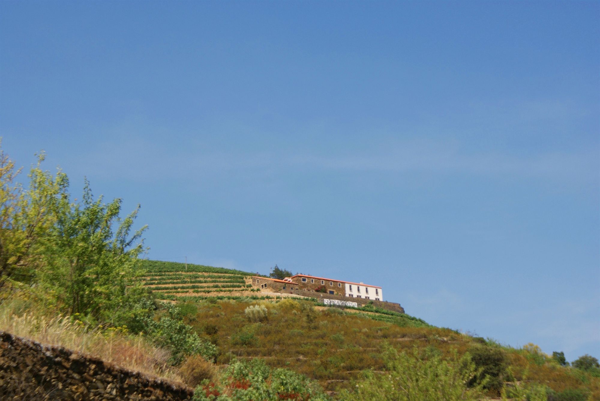 Bed and Breakfast Quinta Da Veiga Covas do Douro Zewnętrze zdjęcie